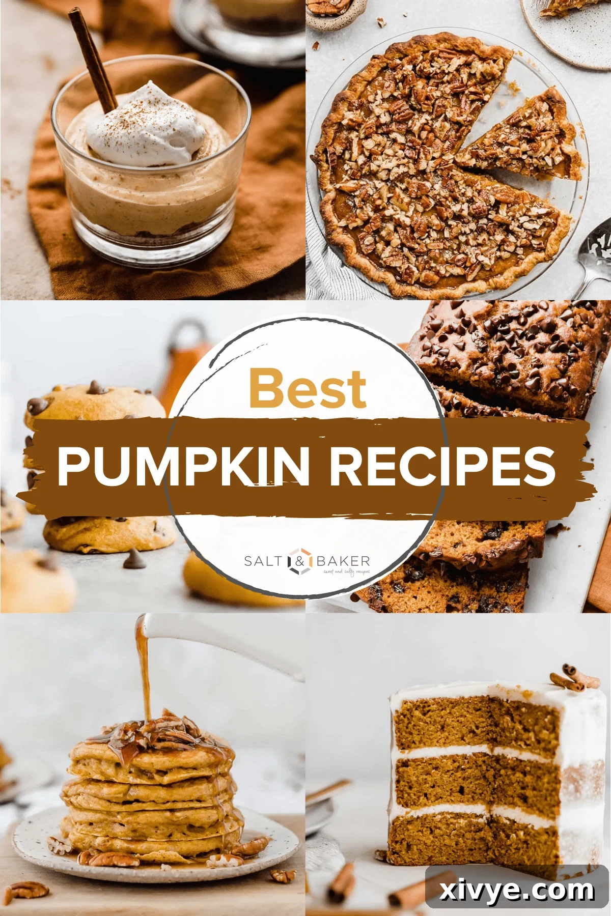 A vibrant collection of delicious pumpkin recipes, including fluffy pumpkin pancakes, classic pumpkin pie, moist pumpkin cake, creamy pumpkin cheesecake, rich pumpkin bread with chocolate chips, and irresistible pumpkin chocolate chip cookies.
