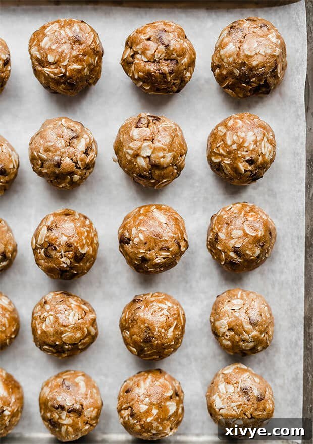 A baking sheet lined with small, perfectly rolled Chocolate Peanut Butter Protein Balls.