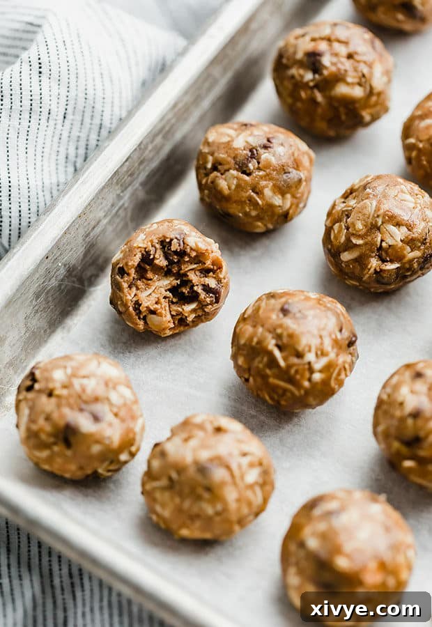A close-up of a Chocolate Peanut Butter Protein Ball with a bite taken out of it, revealing the inside texture.