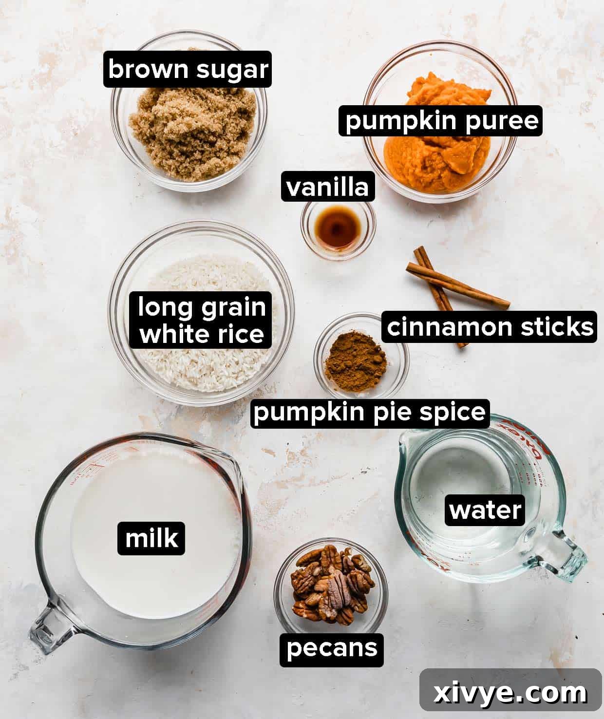 Spiced Pumpkin Rice Pudding 3 A vibrant collection of Pumpkin Rice Pudding ingredients artfully arranged on a clean white background.