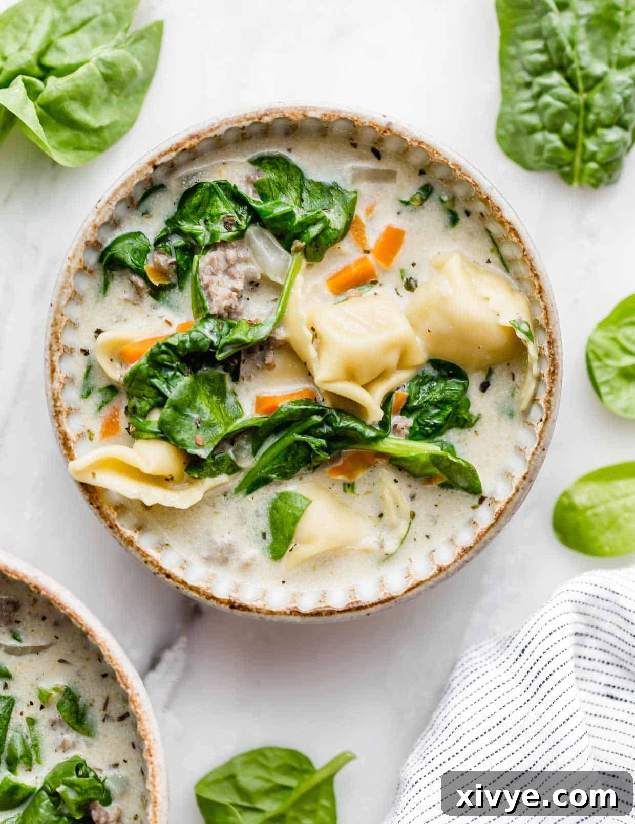Hearty Italian Sausage Tortellini Soup 2 A bowl filled with Creamy Sausage Tortellini Soup on a white background, garnished with fresh basil.
