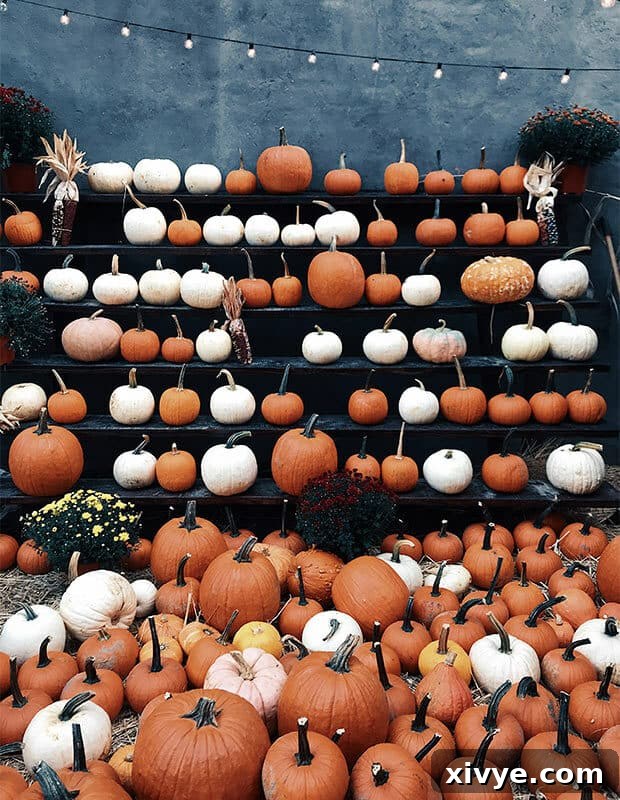 Vibrant pumpkin sitting on a rustic wooden surface, symbolizing the start of autumn and fall baking season.