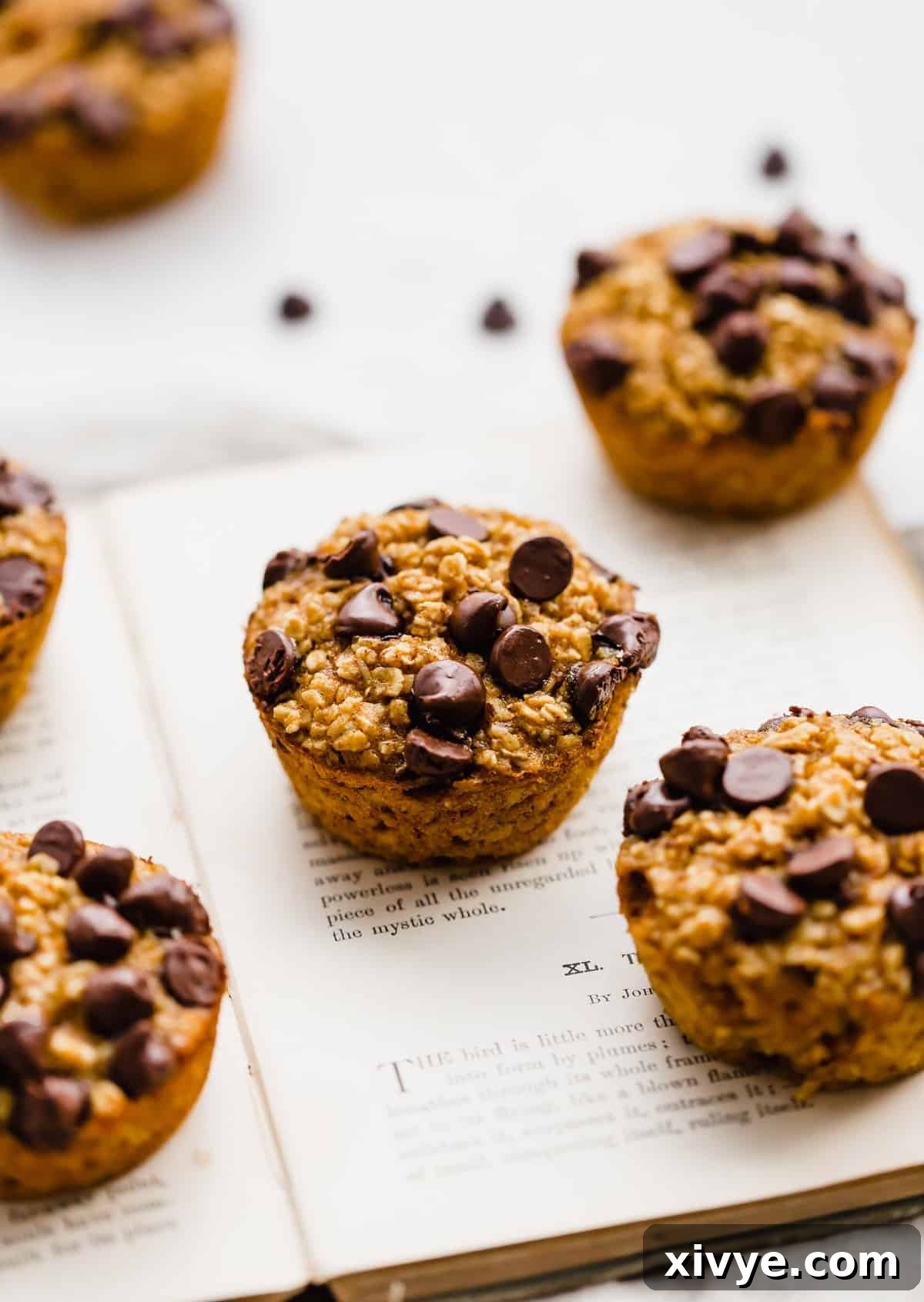 Spiced Pumpkin Oat Muffins 2 A Pumpkin Baked Oatmeal Cup topped with chocolate chips on a book, showcasing its delicious texture and inviting presentation.