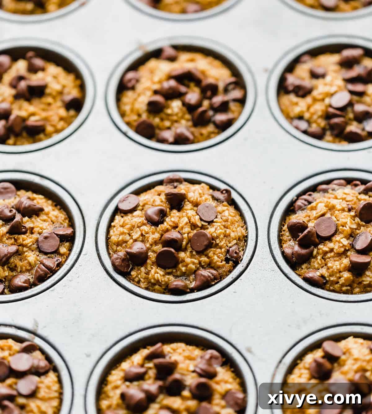 Spiced Pumpkin Oat Muffins 8 Baked Pumpkin chocolate chip Oatmeal Cups in a muffin tin, ready to be enjoyed or stored.