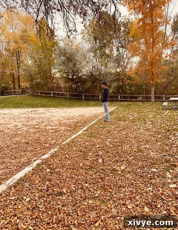 Autumn leaves scattered on the ground, creating a vibrant natural carpet of reds, yellows, and oranges. The image evokes a sense of fall beauty and crisp air.