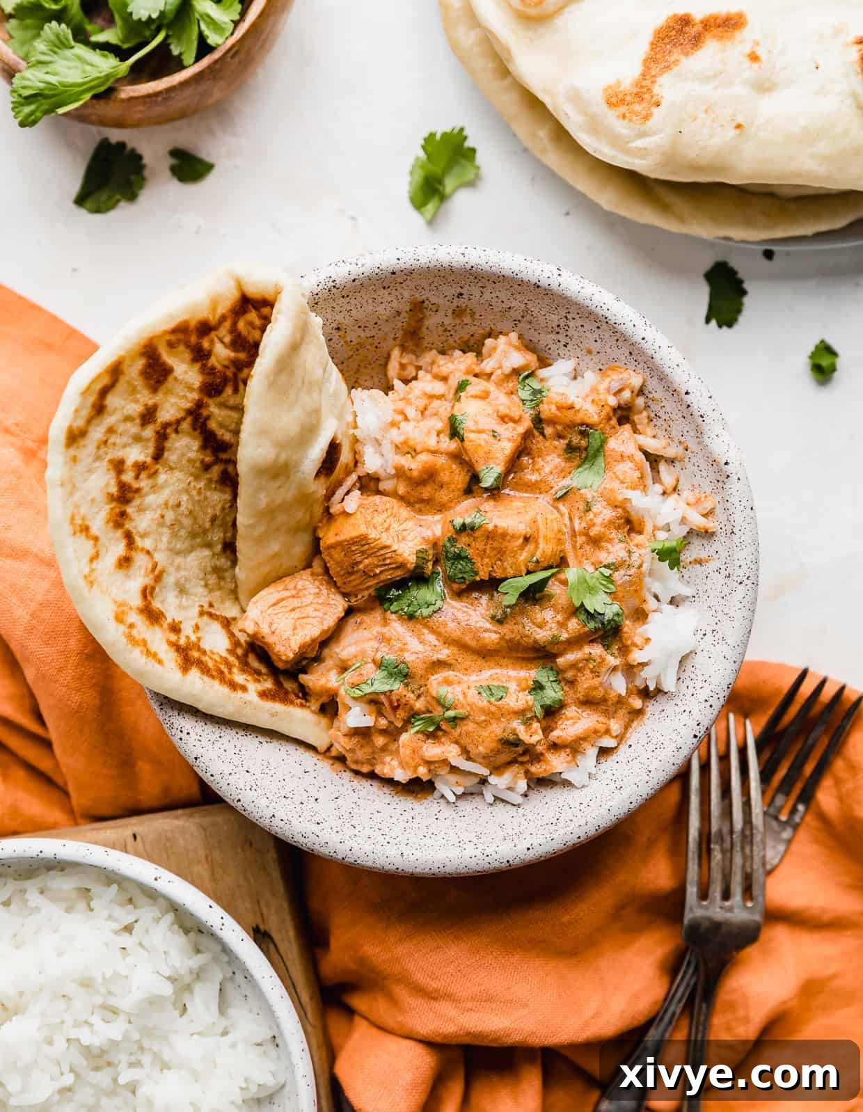 A bowl with Indian Butter Chicken in it, with a side of naan bread and rice.