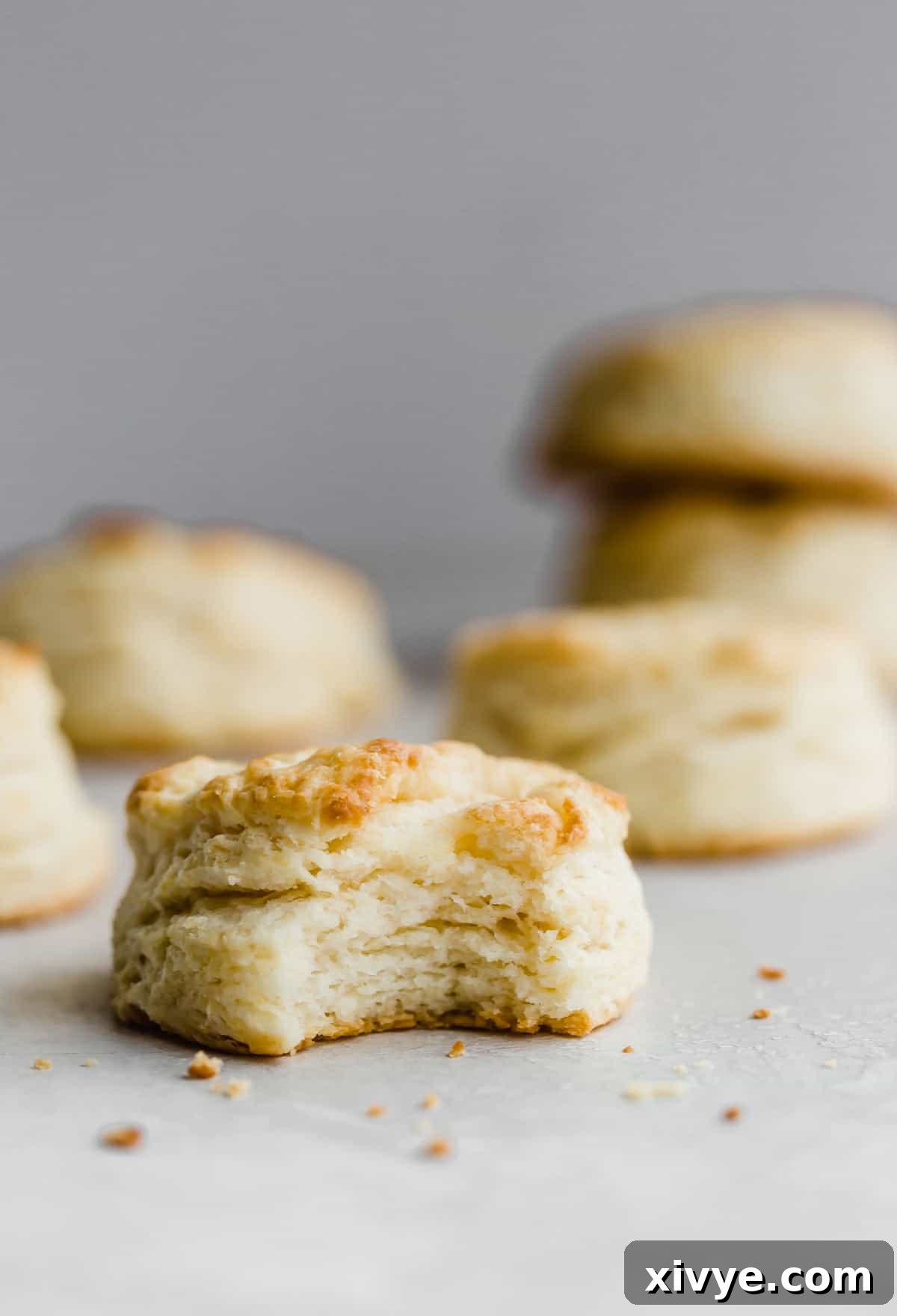 A flaky buttermilk biscuit with a bite taken out of it, against a light gray background, showcasing its texture. 