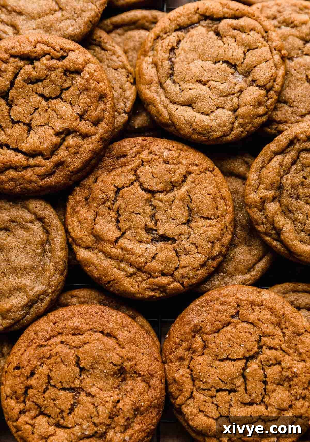 Close-up photo of several soft gingersnap cookies, bunched together on a baking sheet, showcasing their perfectly crinkled tops and inviting dark brown hue.