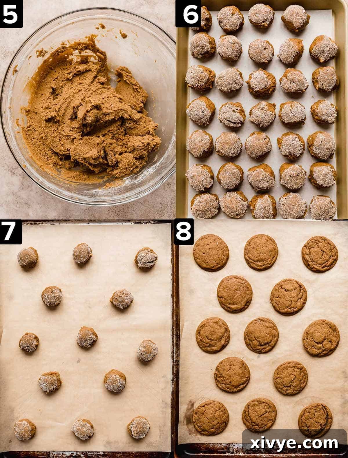 A four-panel image series demonstrating the steps of baking gingersnaps: chilled dough, dough balls on parchment paper, fresh-baked cookies on a sheet, and cookies cooling on a wire rack.