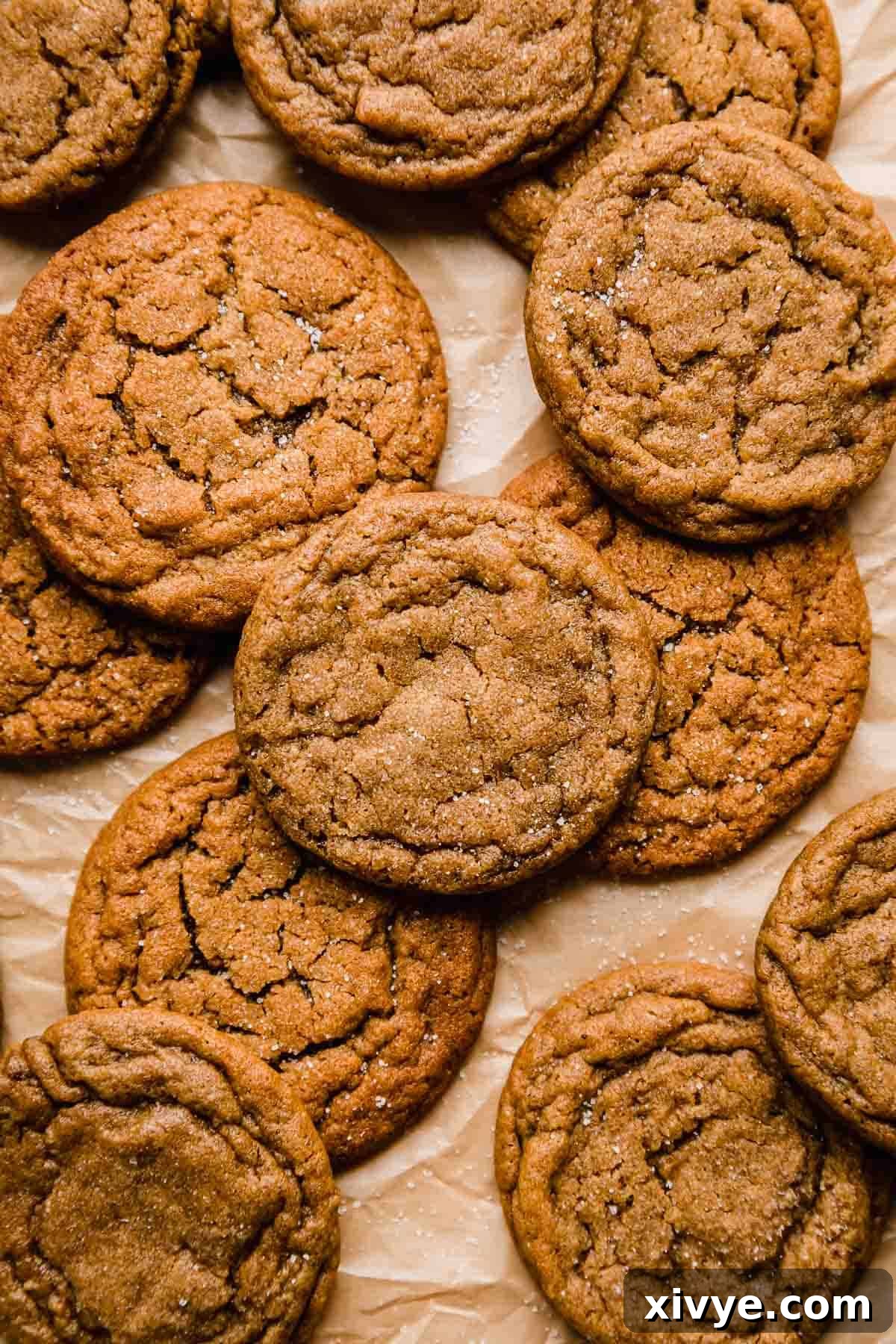 The best soft gingersnap cookies arranged elegantly on tan parchment paper, highlighting their inviting texture and festive appearance.