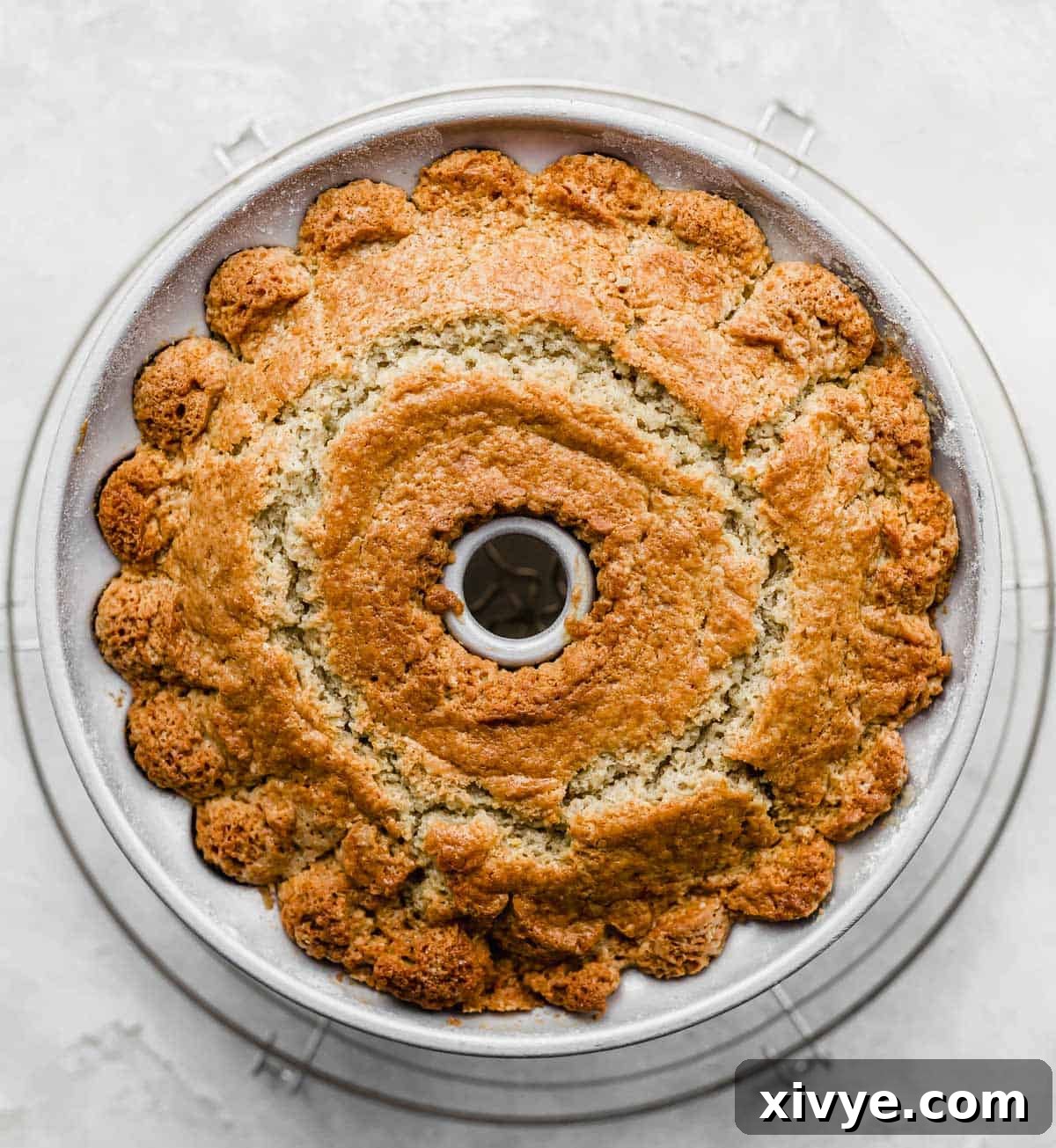 A freshly baked blood orange cardamom bundt cake in a bundt pan, cooling on a white background.