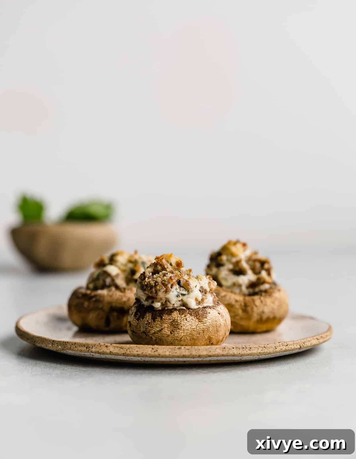 Zesty Italian Sausage Stuffed Mushrooms 8 Italian Sausage Stuffed Mushrooms on a plate against a white background.