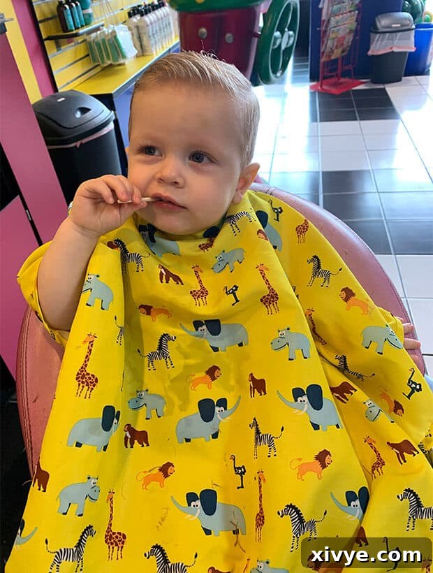 Little boy eating a sucker while getting hair cut.