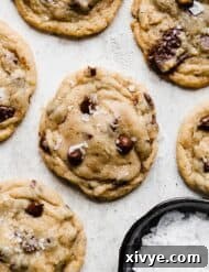 The Best Chocolate Chip Cookies topped with sea salt on a gray background.