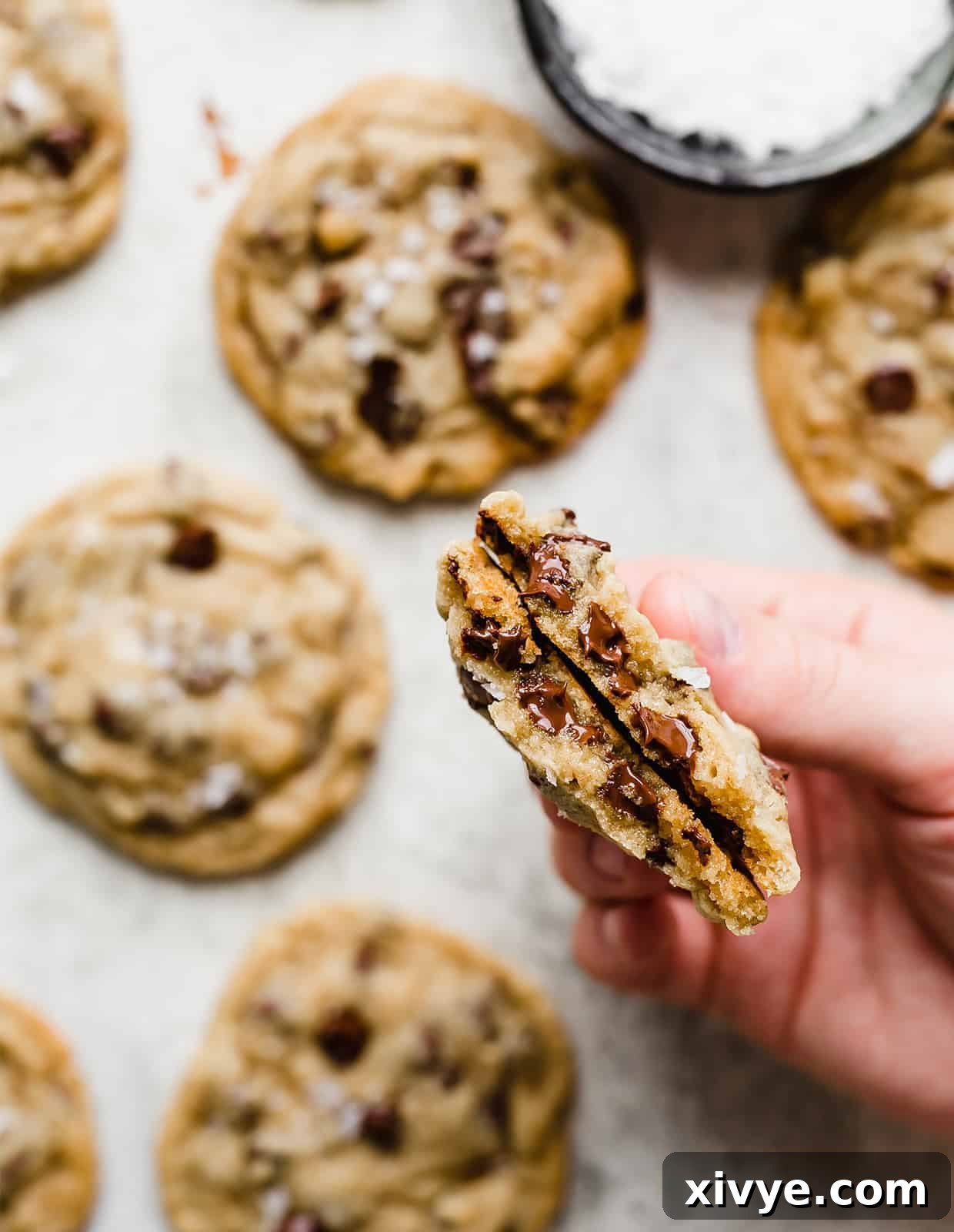 A perfectly baked, soft chocolate chip cookie broken in half, revealing its chewy interior and melted chocolate chunks.