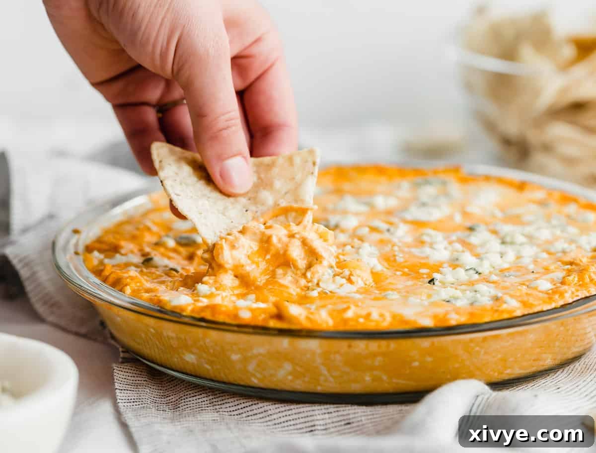 The Ultimate Buffalo Chicken Dip 10 A tortilla chip generously loaded with the best buffalo chicken dip, topped with vibrant bleu cheese crumbles, poised for a delicious bite.