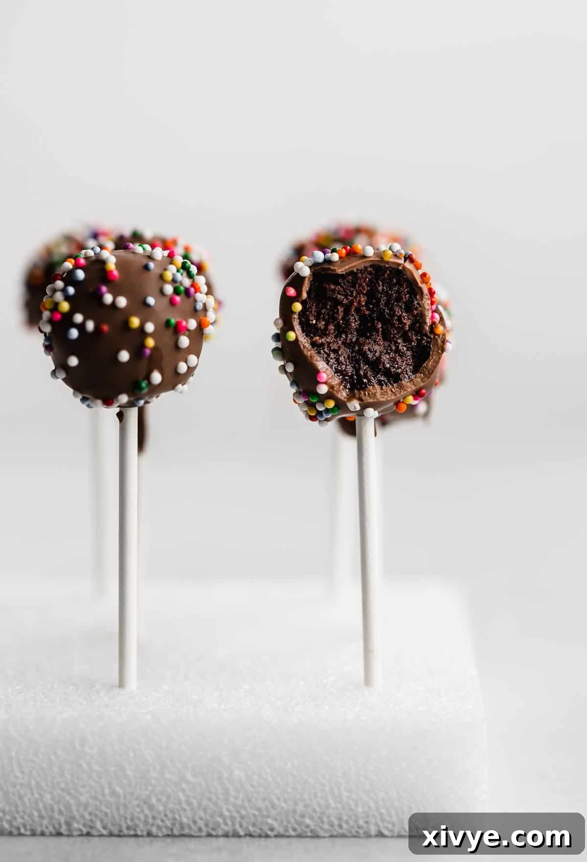 Chocolate Cake Pops in a white styrofoam cube with a bite taken out of one cake pop.