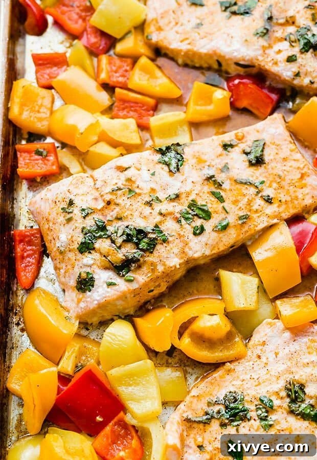 Fiery Citrus Salmon Sheet Pan Dinner 6 Baked salmon on a baking sheet surrounded by chopped bell peppers, garnished with parsley.