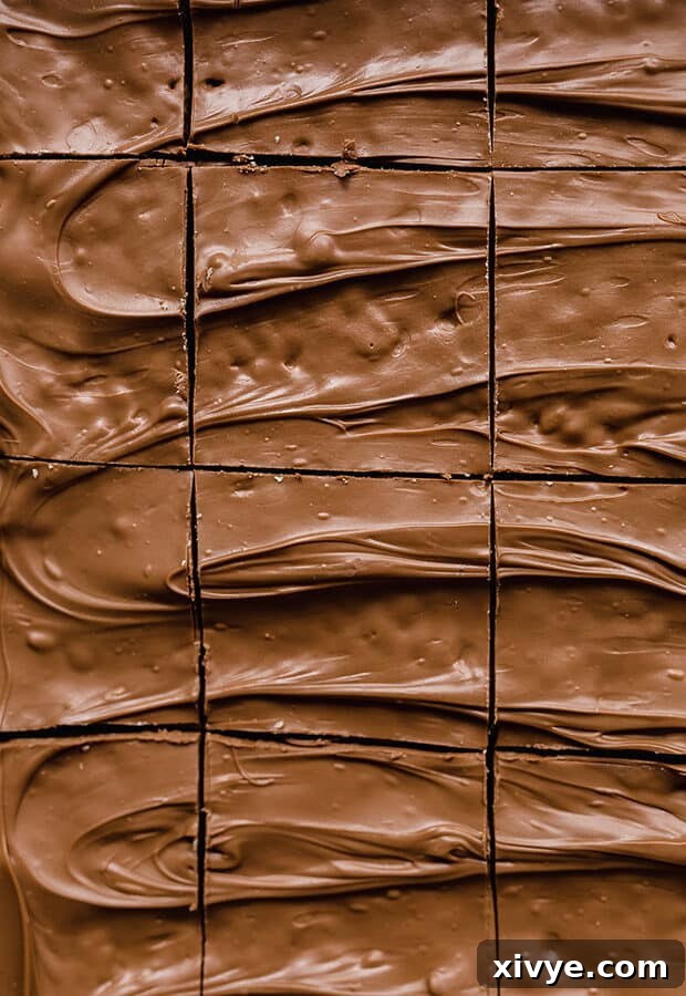 Freshly cut Scotcharoos covered in a glossy chocolate and butterscotch topping, arranged in neat squares.