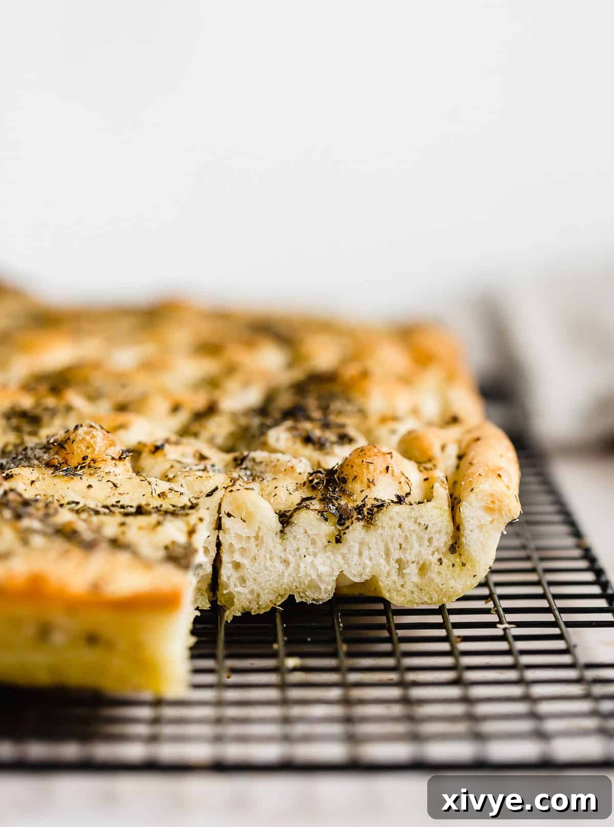 A beautiful side profile photo of a fluffy focaccia recipe, highlighting the thick, airy bread generously topped with fragrant herb olive oil.