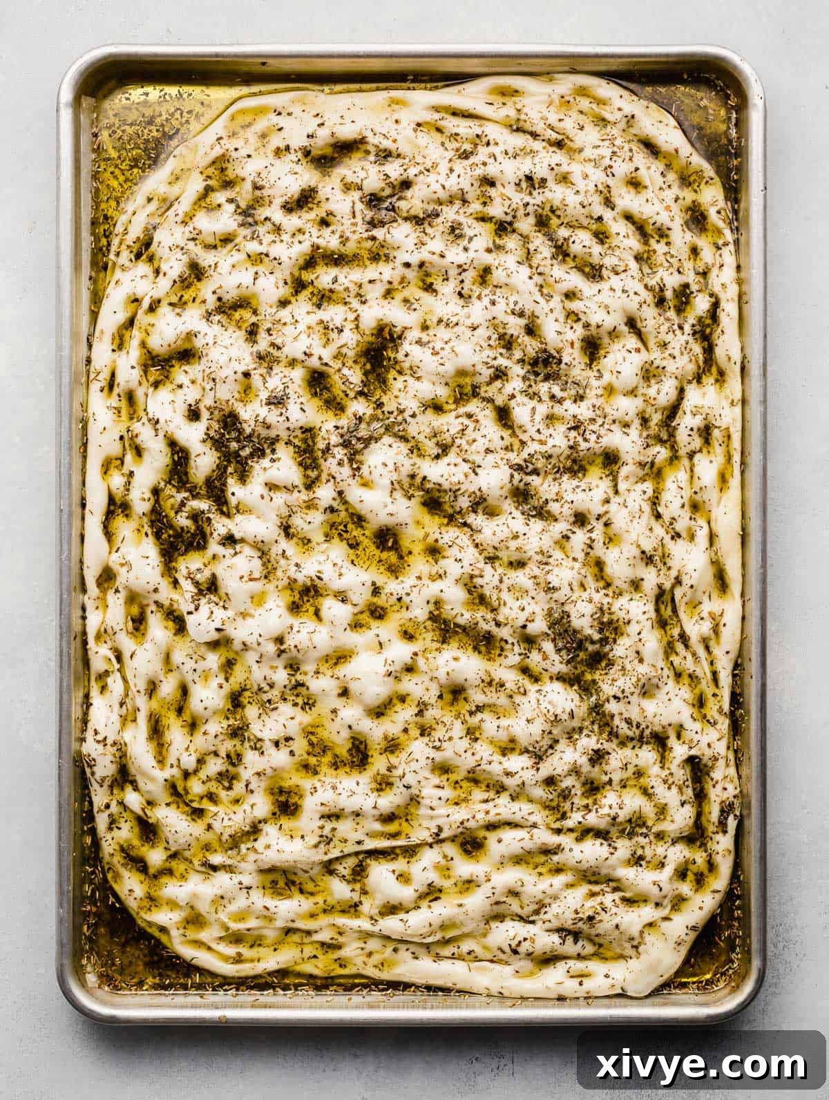 Raw focaccia bread dough, beautifully dimpled and generously topped with herbed olive oil, resting on a baking sheet before its final proof.