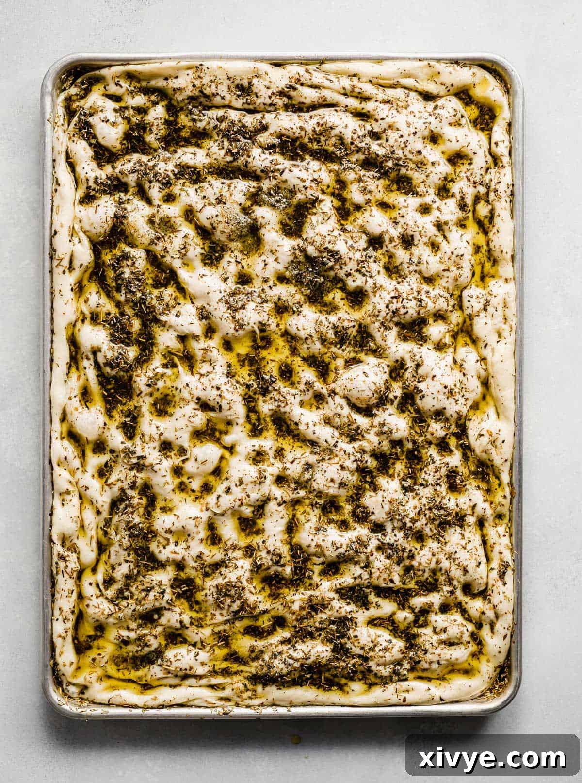 A baking sheet with fully proofed focaccia bread dough, beautifully spread across the entire pan and generously topped with herbed olive oil, ready for the oven.
