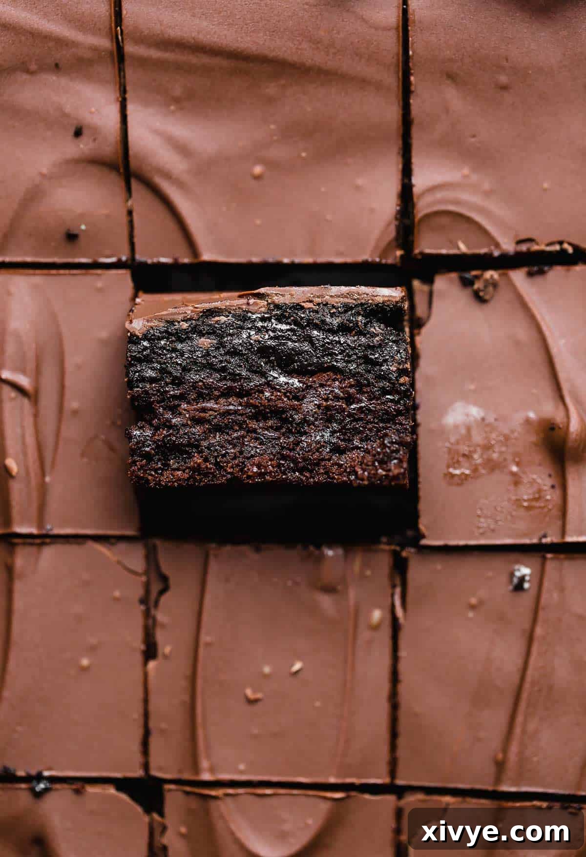 Decadent Oreo Truffle Brownies 5 Oreo Truffle Brownies cut into squares, topped with a melted chocolate layer.
