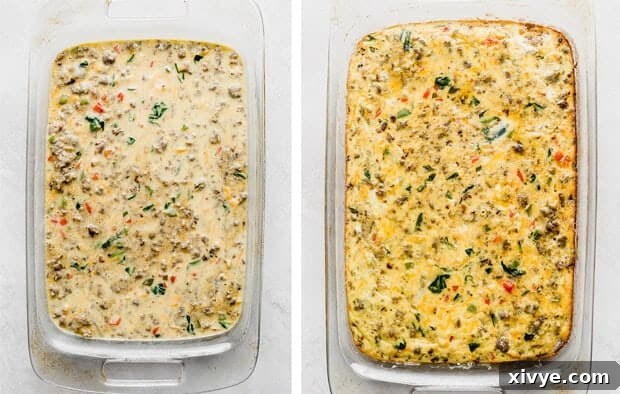 Simple Breakfast Bake 8 A golden-brown breakfast casserole bubbling in a glass 13x9 inch baking pan, fresh out of the oven.