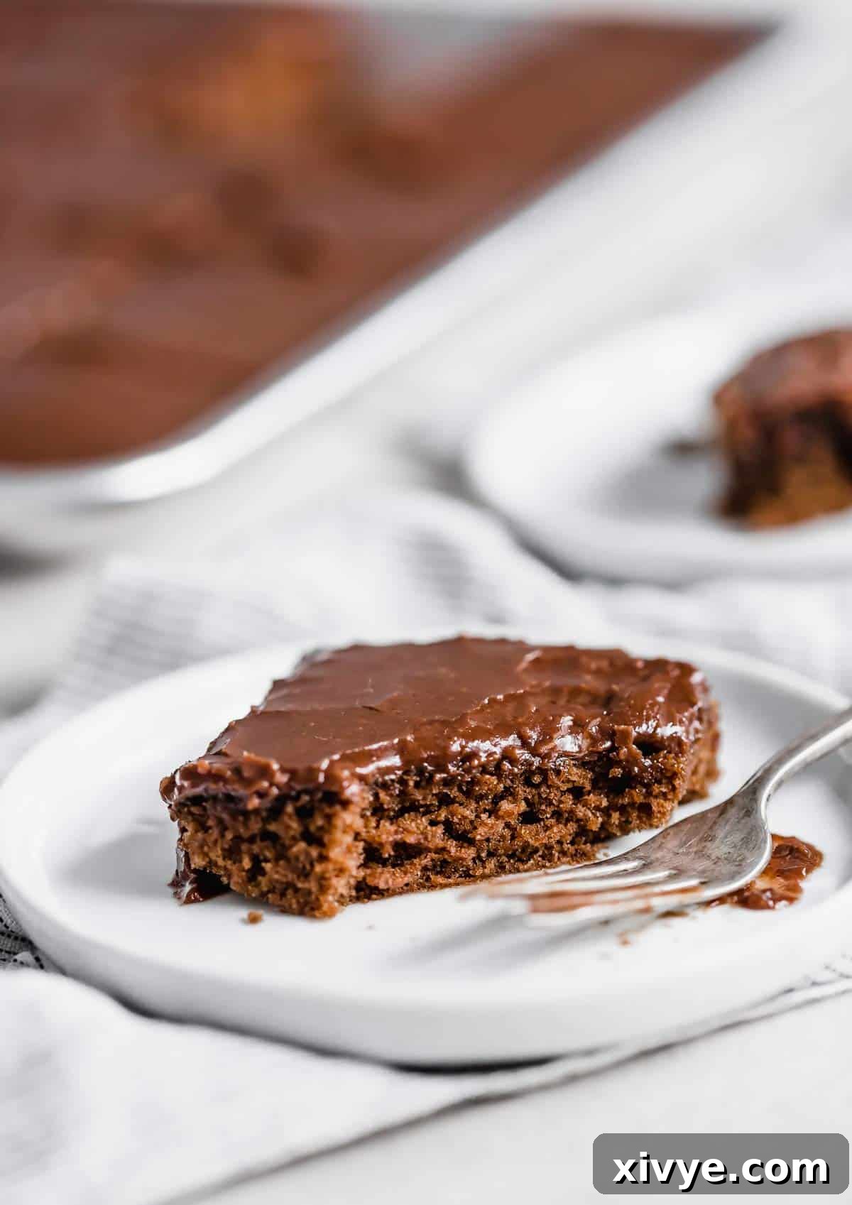 A square of Texas Sheet Cake on a white plate, showcasing its moist texture and rich frosting.