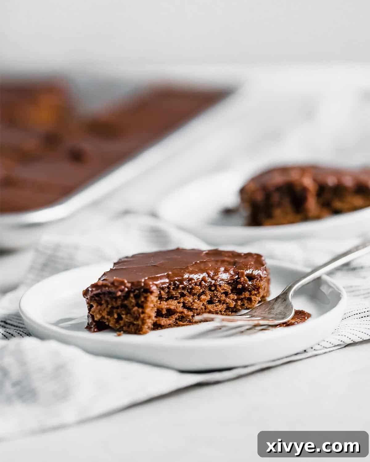 A slice of Texas Sheet Cake on a white plate with a fork next to the slice, highlighting its moist interior and rich frosting.