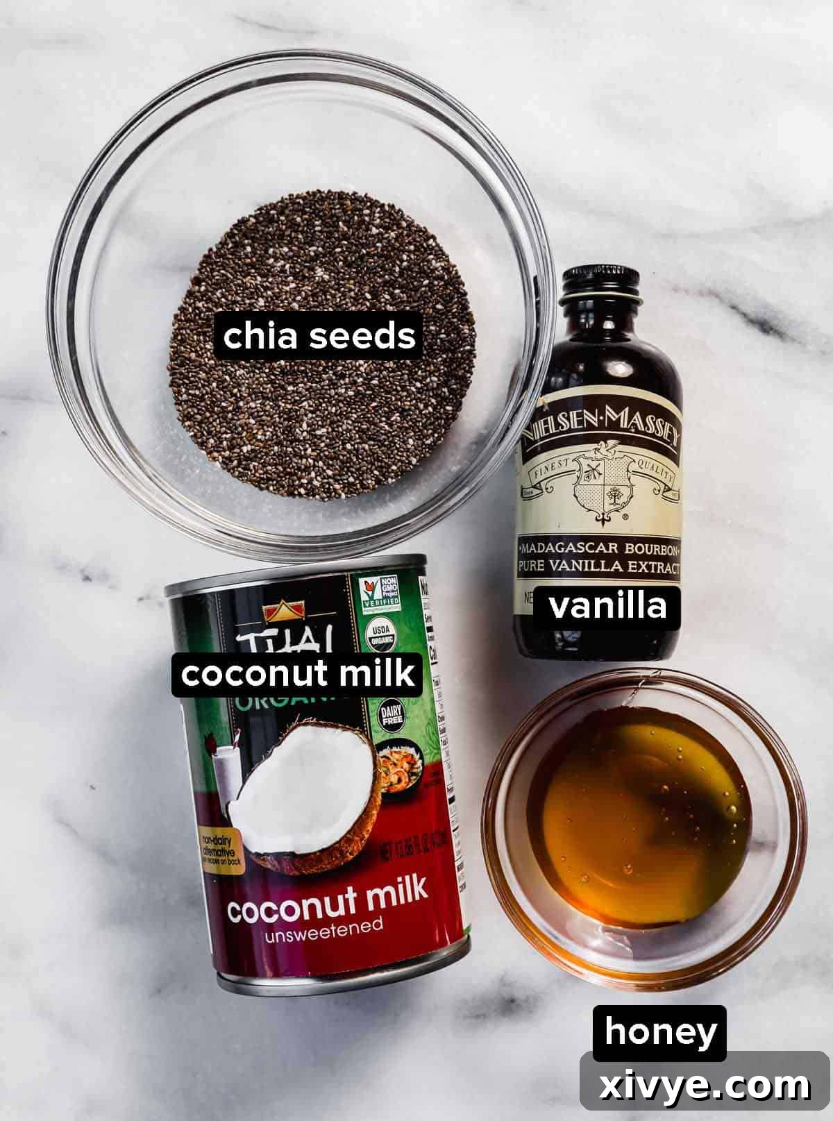 Coconut chia pudding ingredients on a white marble background: chia seeds, vanilla, coconut milk, and honey.