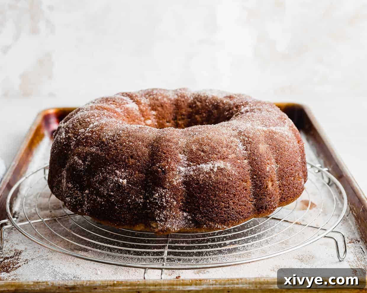 A Bundt Cake on a wire rack.