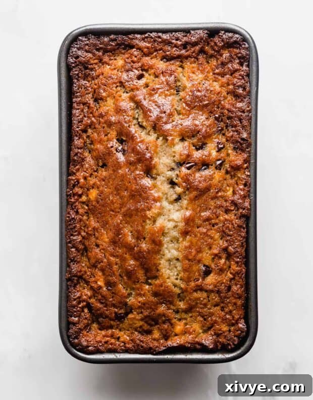 Golden brown baked Chocolate Chip Banana Bread in a loaf pan against a white background.