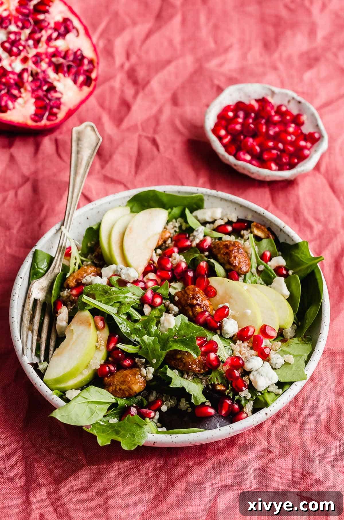A vibrant Pomegranate Salad served on a white plate, beautifully contrasted against a rich red background, highlighting its festive appeal.