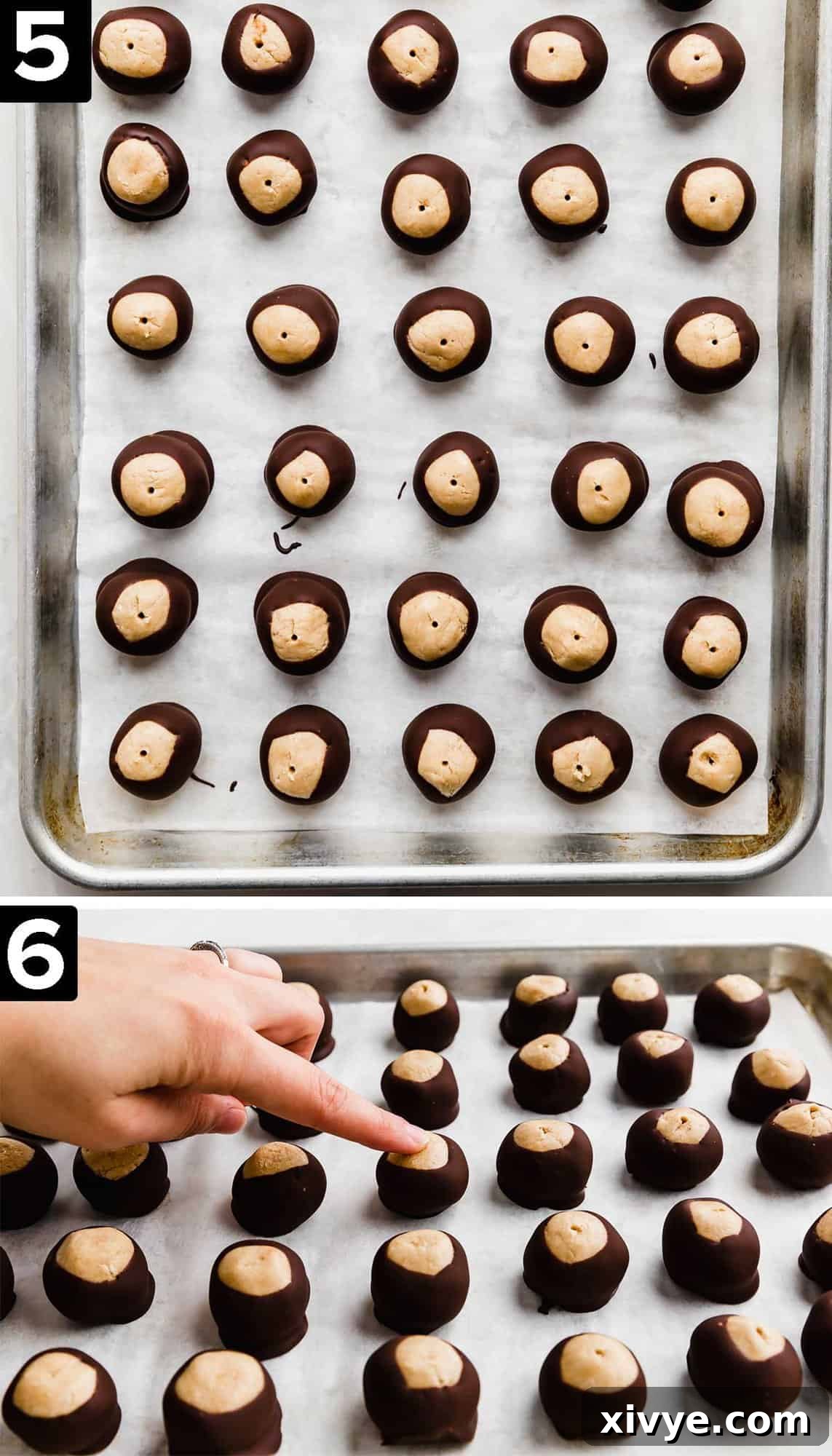 Chocolate dipped Buckeye balls on a baking sheet.