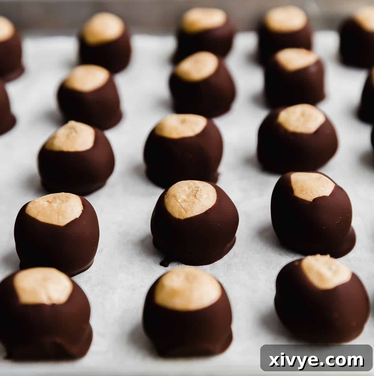 Chocolate dipped Buckeye balls on a white parchment paper.