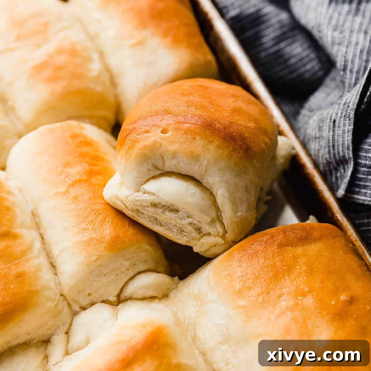 A side view of a baked Lion House Roll.