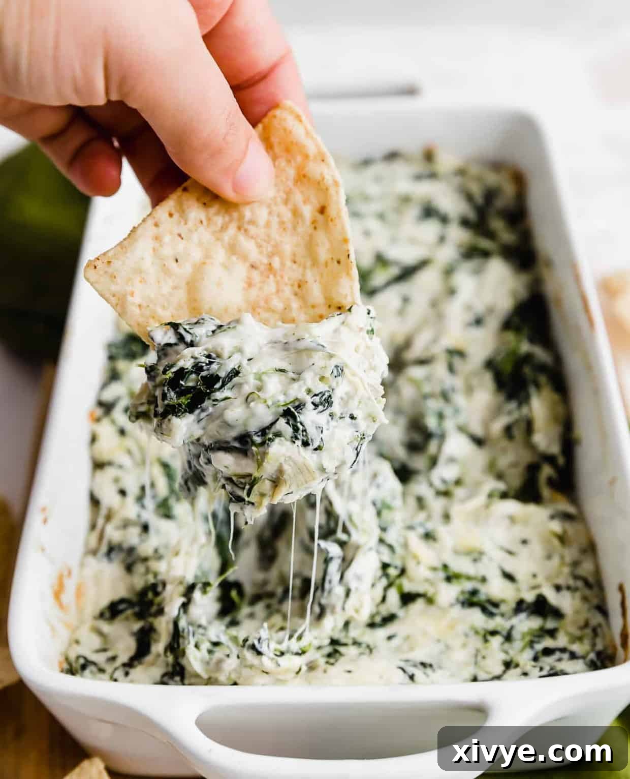 Sizzling Spinach Artichoke Delight 2 A tortilla chip being dipped into a luscious, hot spinach artichoke dip, showcasing its cheesy, creamy texture.