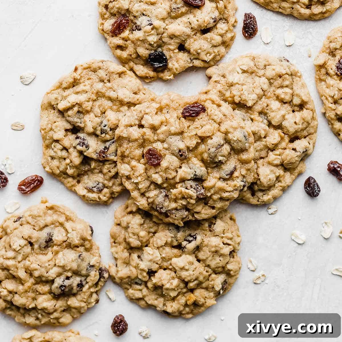 Festive Cookie Favorites Collection 11 Soft Oatmeal Raisin Cookies stacked in a small pile on a light gray background.