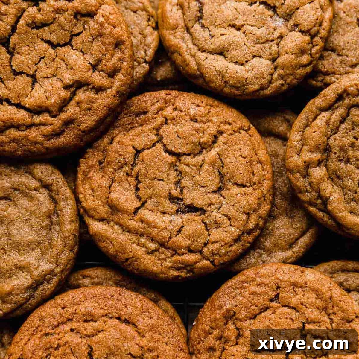 Festive Cookie Favorites Collection 13 A cluster of soft gingersnap cookies.