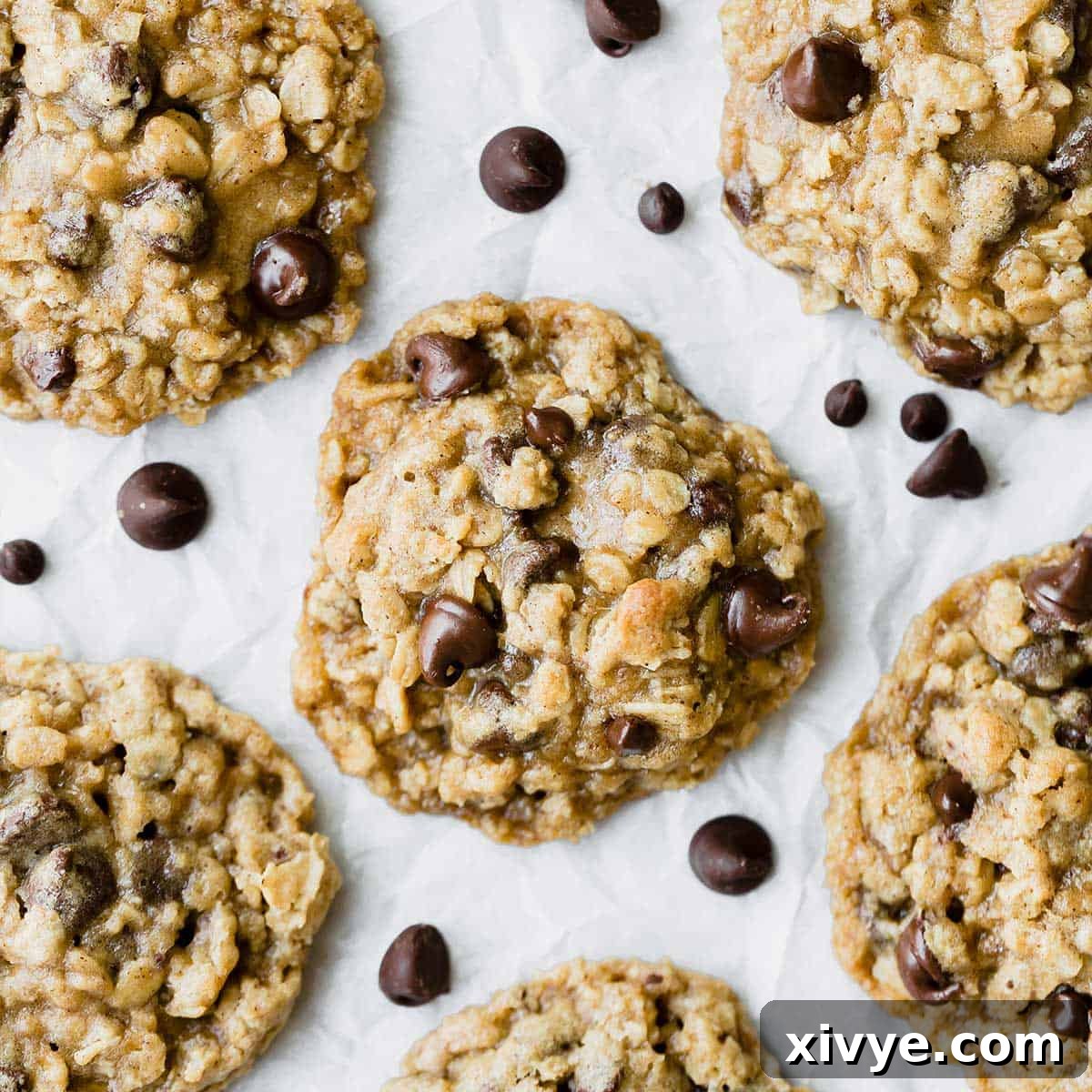 Festive Cookie Favorites Collection 16 Oatmeal Chocolate Chip Cookies on white parchment paper.