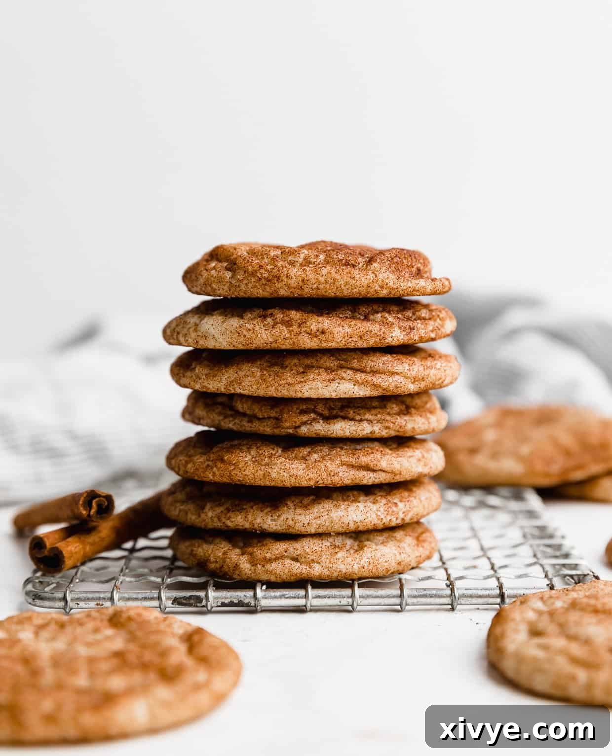 Festive Cookie Favorites Collection 20 A stack of small Snickerdoodle Cookies on top of each other.