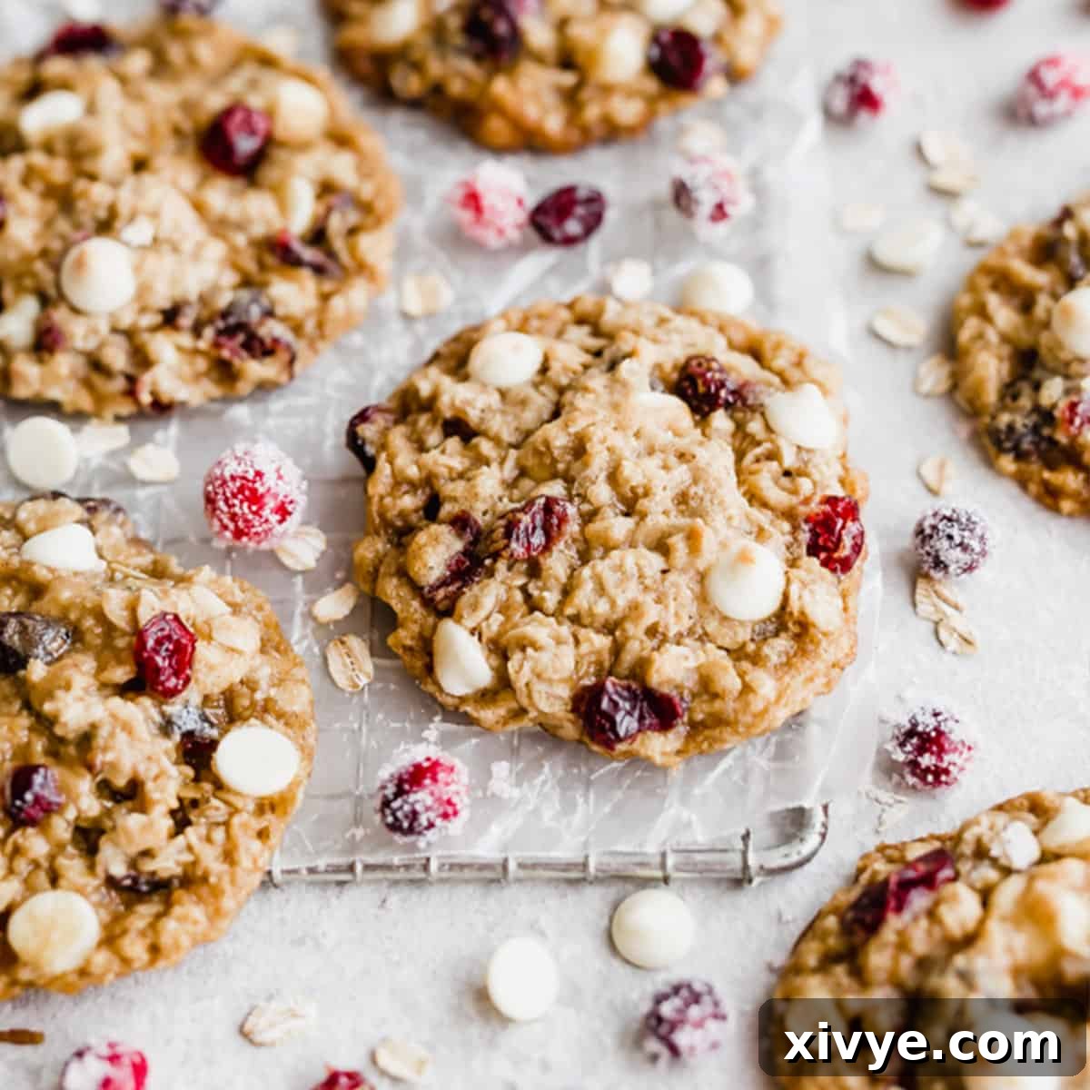 Festive Cookie Favorites Collection 3 Thick and chewy White Chocolate Cranberry Oatmeal Cookie on a small wire rack.