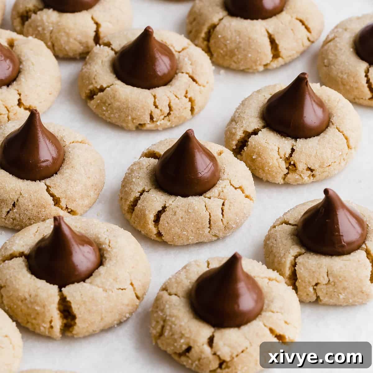 Festive Cookie Favorites Collection 22 Peanut Butter Blossoms cookies topped with chocolate kisses on a white background.