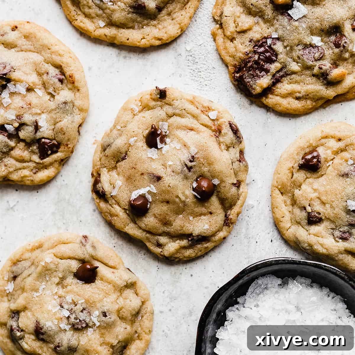Festive Cookie Favorites Collection 5 The Best Chocolate Chip Cookies topped with sea salt on a gray background.