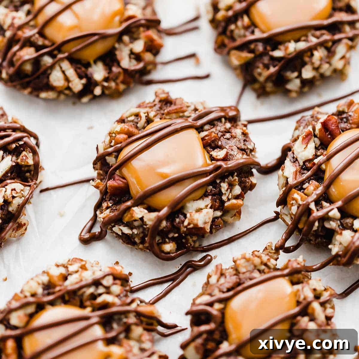 Festive Cookie Favorites Collection 6 Turtle Cookies drizzled with melted chocolate.