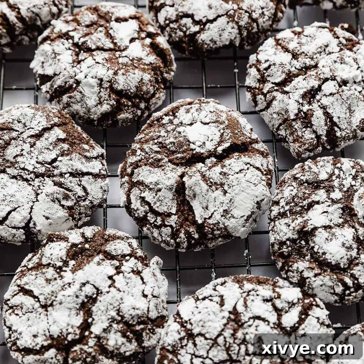 Festive Cookie Favorites Collection 8 Chocolate Crinkle Cookies on a wire cooling rack.