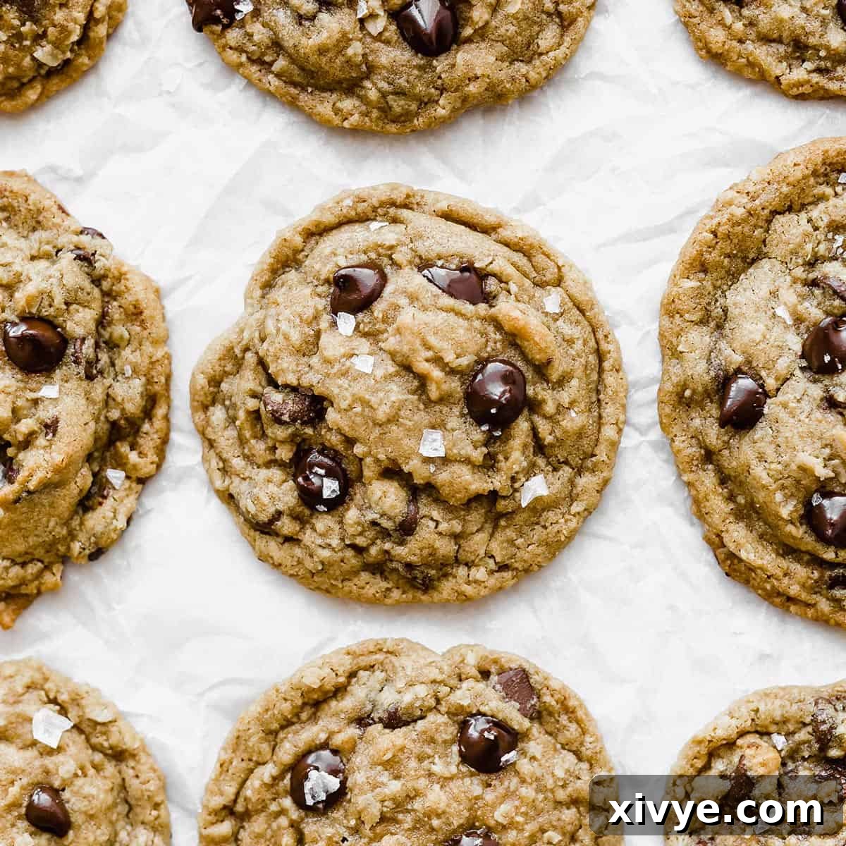 Festive Cookie Favorites Collection 9 Brown Butter Chocolate Chip Cookies on a white background.
