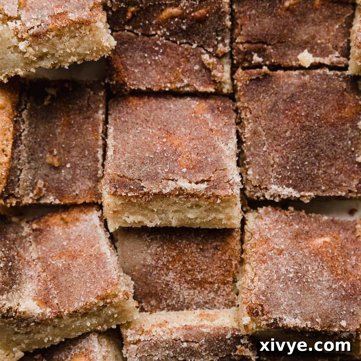 Close up image of Snickerdoodle Bars cut into squares, and topped with cinnamon sugar mixture.
