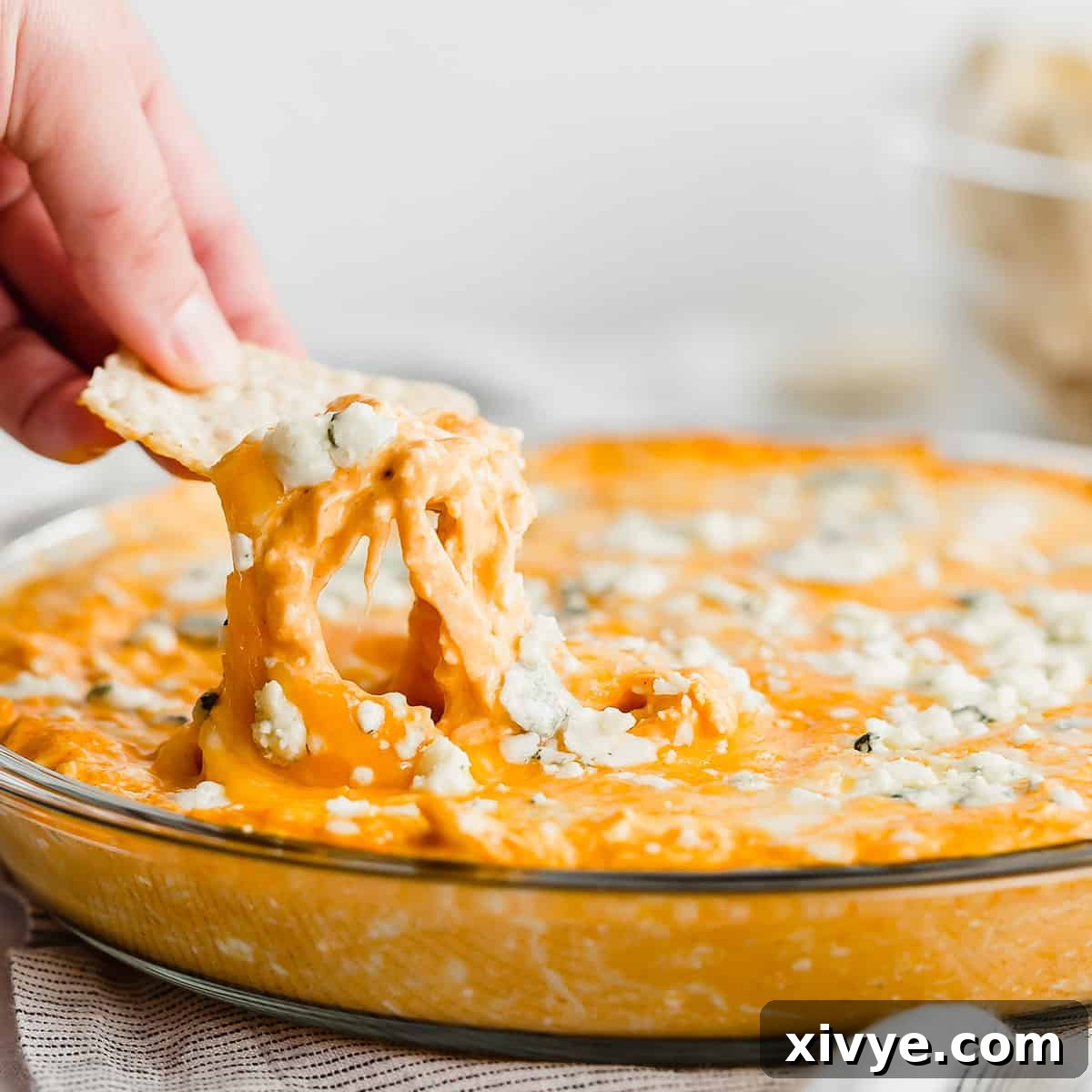 A tortilla chip dipping into buffalo chicken dip.
